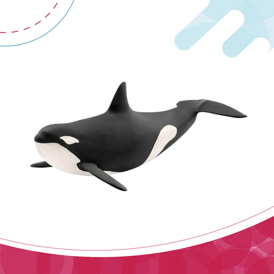 Orca